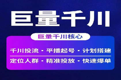 专业SEM代运营公司案例分析